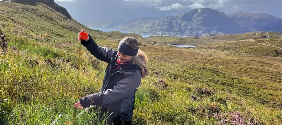 Alison tree measuring in front of a mountainous green landscape